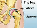Understanding Hip Pain (Sports Injuries #1)