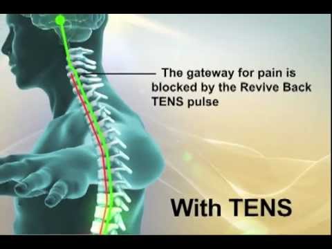 Lower Back Pain & Sciatica Relief, Low Back Pain Treatment and Therapy