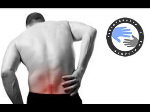 Low back pain and sciatica, exercises to relieve back pain  /  Physiotherapy at home
