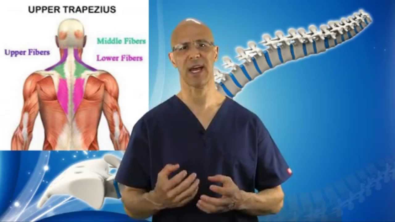3 Part Exercise to REMOVE Tight Trapezius Muscle in Neck (Neck Pain & Pinched Nerve) – Dr Mandell