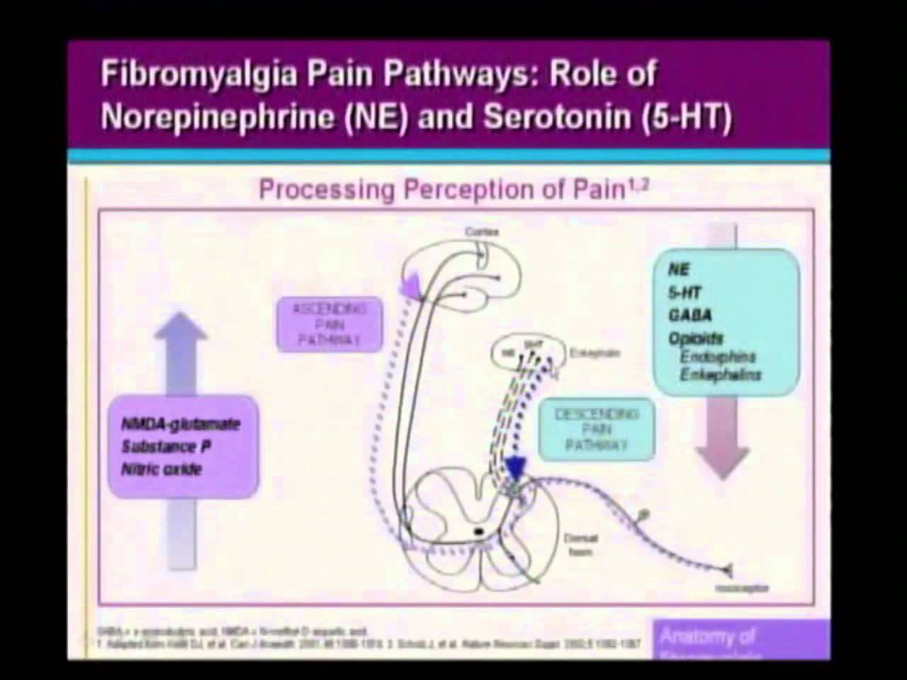 Chronic Pain Syndromes