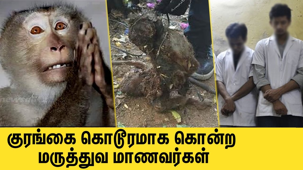 Medical students torture & burn a monkey on campus | Latest Tamil Nadu Controversy News