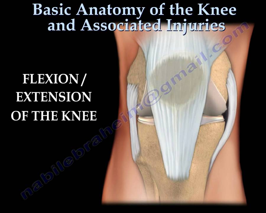 Knee  injury ,Injuries – Everything You Need To Know – Dr. Nabil Ebraheim