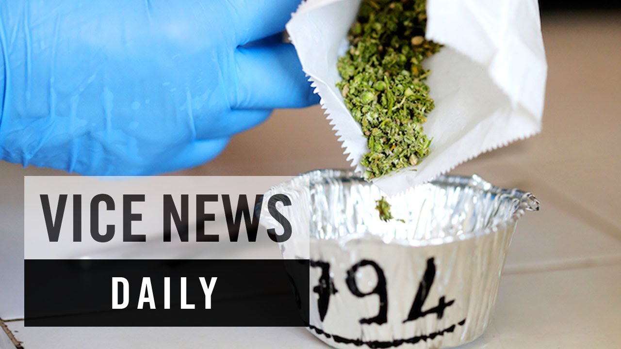 VICE News Daily: Italy’s Army Grows Medical Marijuana