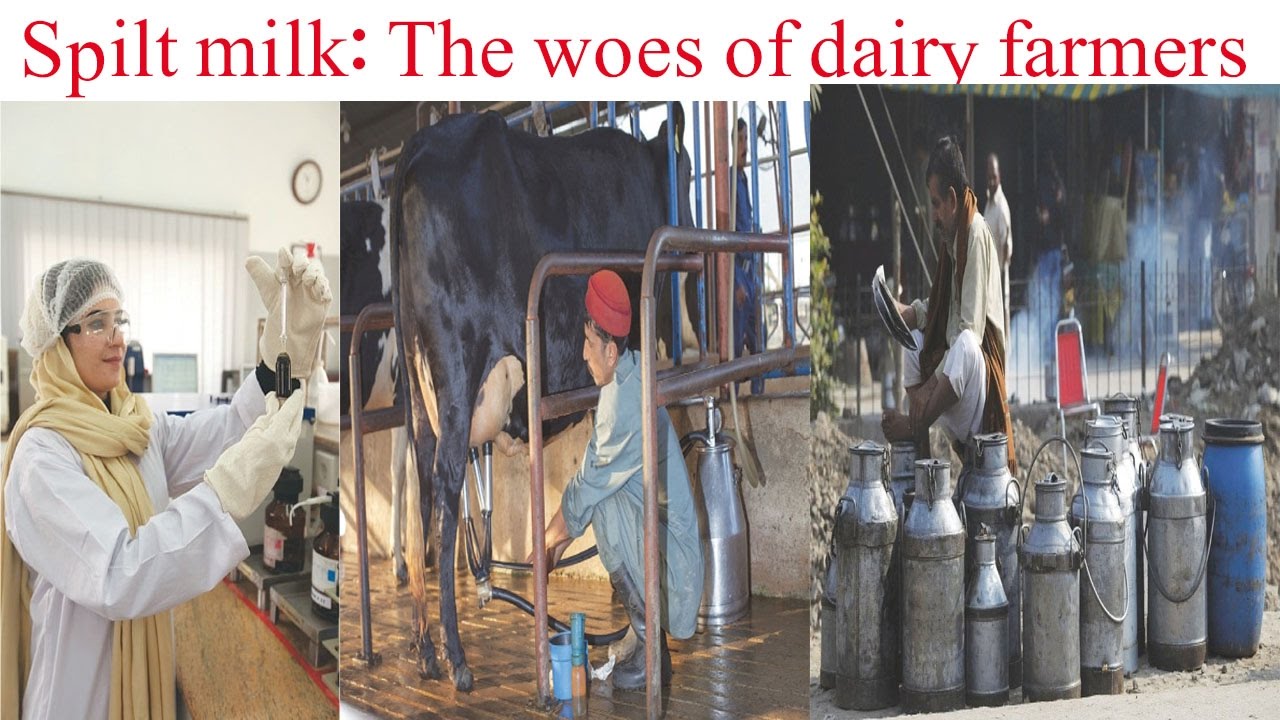 diary farmer news, diary farmer milk information, latest medical news, health news, hearlth articles