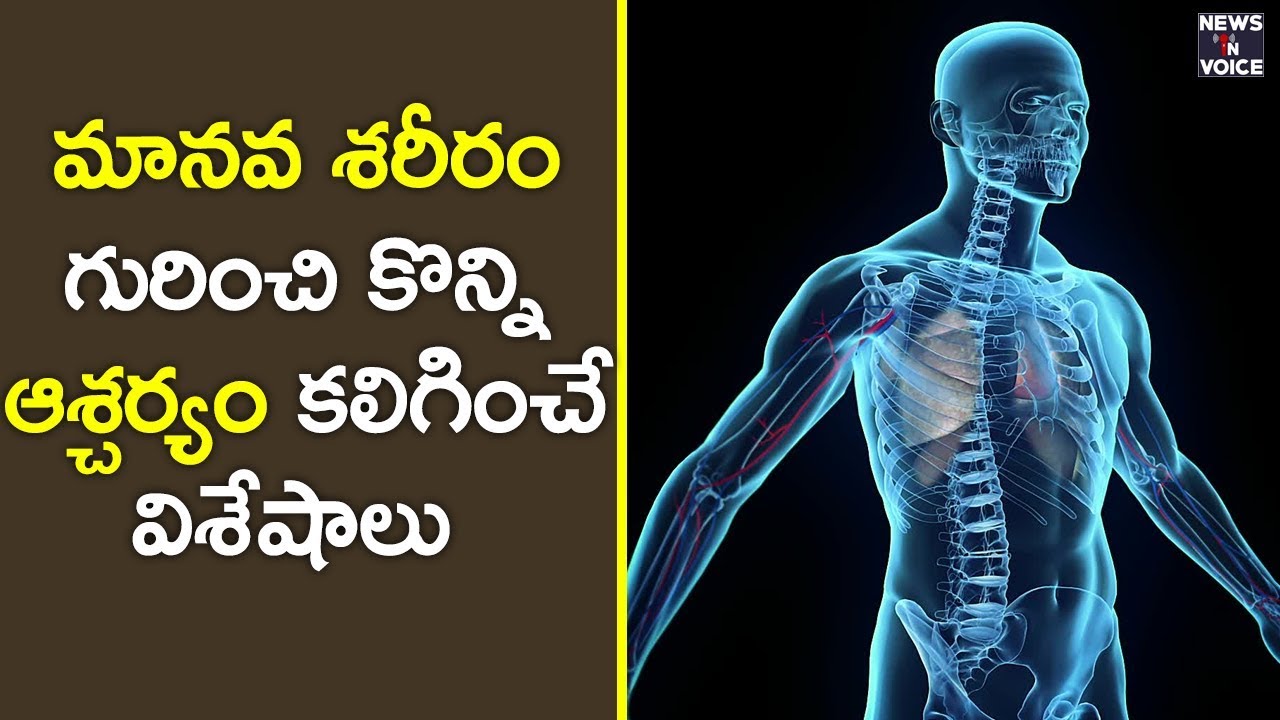 unbelievable facts on human body || interesting topic on brain  ||  News in Voice
