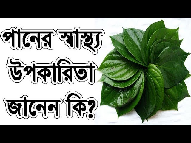 পান পাতার বিস্ময়কর স্বাস্থ্য উপকারিতা ! Wonderful Health Benefits of Drink Pages