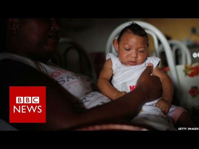 Why is Zika a public health emergency? BBC News